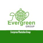 Evergreen Plantation Group | Ruka Digital Solutions