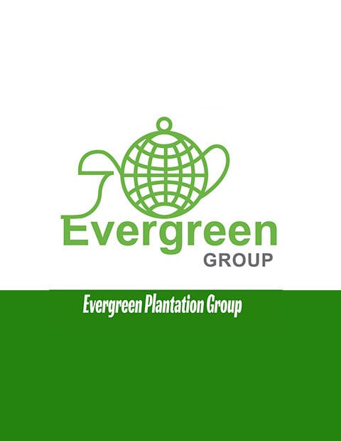 Evergreen Plantation Group | Ruka Digital Solutions